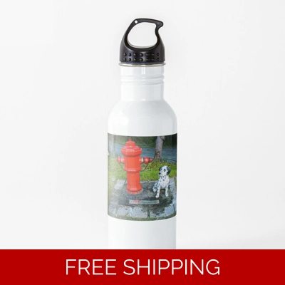 Water Bottle Rush Signals Stutue